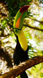 Pin On God S Beautiful Creatures