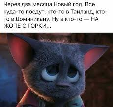 pin na doske yumor