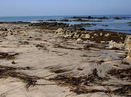 To get here, you'll need. Beaches In Viana Do Castelo