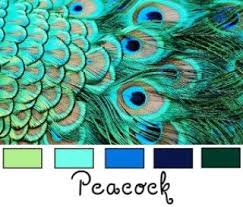 Some people think that it is the same with light blue or even teal. Color Harmony Peacock Color Scheme Color Harmony Peacock