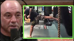 Do a little further math, and you end up with ballpark income of $12 million per year. Joe Rogan S Net Worth In 2021 3 Fear Finishing Secrets To Getting Rich My Money Wizard