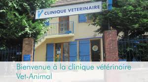 Clinique Vétérinaire Vet Animal