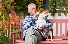 When a dog has brain cancer, she is more likely to have accidents. Brain Cancer Information For Pet Owners Petcure Oncology