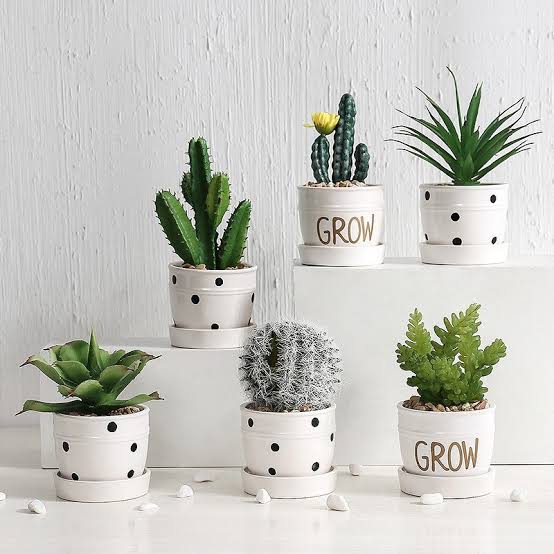 gửi chậu cây giả mini đi Canada