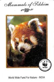 But how many words about animals name in english do you know? Http 14 139 206 50 8080 Jspui Bitstream 1 712 1 Mammals 20of 20sikkim Pdf