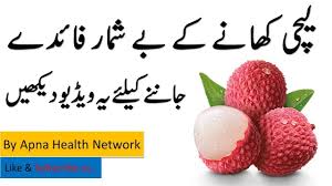 Lychee Fruit Health Benefits Urdu Hindi Lyche Khany Ke Fayde Urdu H Fruit Health Benefits Health Benefits Health