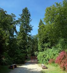 Garten In Brandenburg