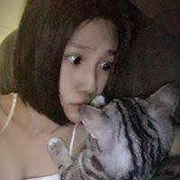 Sara Chen (sarachen3557)