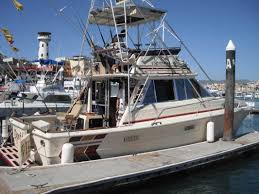 Captain robert gallia is truly a jack of all trades when it comes to saltwater fishing in northern california. Cabo Fishing Charter 40ft Sea Rat El Dorado Vii Cabo San Lucas Fishing Fiesta Sportfishing