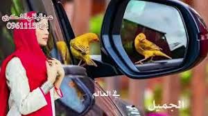 جديد 2021 الفنان محمد أبو حجاج الجبنة عند ساعة الصباح وصل سماعتك mp3. Ø¬Ø¯ÙŠØ¯ Ø§Ù„ÙÙ†Ø§Ù† Ù…Ø­Ù…Ø¯ Ø§Ø¨ÙˆØ­Ø¬Ø§Ø¬ 2021 Youtube