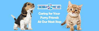 The cost is different if dealing. Mobile Pet Veterinary Services Of El Paso Texas