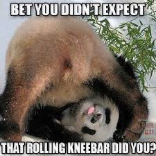 Dangerous From The Turtle Guard Bjj Bjjmeme Jiujitsu Mma Aikido Martial Arts Bjj Memes Jiu Jitsu