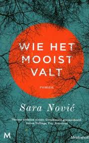 Pieteke Werkzaam Bij Bibliotheken Mar En Fean Tipt Wie Het Mooist Valt Van Sarah Novic Dat Gebeurtenissen Uit Het Verleden Een Grote I Boeken Roman Lezen