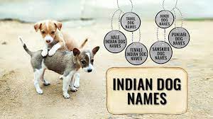 The best way to do this is choose names from women that hold a strong positive association for you. Handpicked Best Indian Dog Names Backed With Full Meanings Petmoo