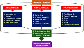 However, many nutrient disorders and abiotic or biotic stresses have similar symptoms. Plants Free Full Text Impact Of Climate Change On Crops Adaptation And Strategies To Tackle Its Outcome A Review Html