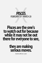 Beware Of Me I Could Be Planning Something Dangerous Pisces Quotes Horoscope Pisces Pisces