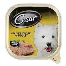 Cesar