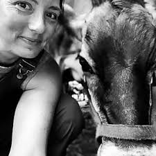 Top 60 Homesteading Influencers in 2025