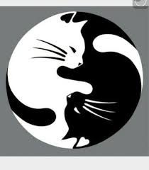Cats Ying Yang Siyah Kedi Dovmeler Tablolar Boyali Kayalar