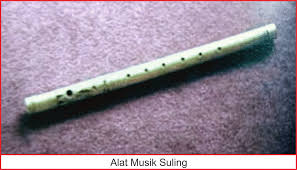 Alat musik ini memiliki fungsi utama sebagai instrumen musik pelengkap. 8 Alat Musik Tradisional Kepulauan Bangka Belitung Lengkap Gambar Dan Penjelasannya Seni Budayaku