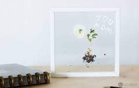 Thanks to pinterest, the possibilities for what you can make seem get our weekly newsletter. 15 Pressed Flower Diys For Spring And Summer Home Decor Shelterness