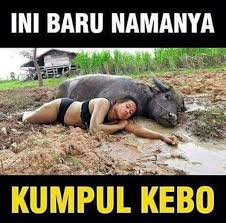 Budak :kalau kau tak dapat hidu mainan aku yang hilang dalam rumput. Pin Oleh Jujun Junaedi Di 01 Dodi Cartoon Jokes Gambar Lucu Meme Lucu