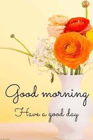 High quality good morning flowers hd images. Best Good Morning Hd Images Wishes Pictures And Greetings Good Morning Flowers Good Morning Flowers Pictures Good Morning Images Hd