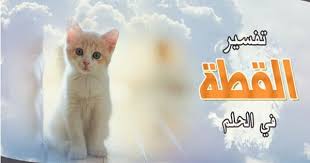 Check spelling or type a new query. Ù…ÙˆØª Ø§Ù„Ù‚Ø·Ø· ÙÙŠ Ø§Ù„Ø­Ù„Ù… If