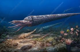 Image result for Osyridicarpos