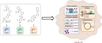Go to hrms aided institutions page via official link below. Discovery Of Novel Class Of Histone Deacetylase Inhibitors As Potential Anticancer Agents Sciencedirect