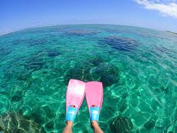 白保 海岸 シュノーケル 個人