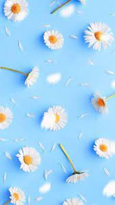 New users enjoy 60% off. 196 Flower Backgrounds Ideas Flower Backgrounds Flower Wallpaper Flowers