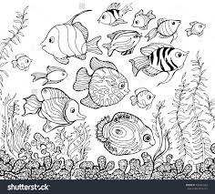 Outline Drawing Underwater Fish Coloring Pages For Kids Outline Drawings Fish Drawing For Kids Bff Drawings