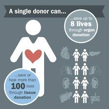  National Donor Day A Call To Action Organ Donation Organ Donation Awareness Donate Life