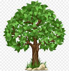 Free cartoon tree transparent background, download free. Transparent Tree Png Clipart Picture Transparent Background Tree Clipart Png Image With Transparent Background Toppng