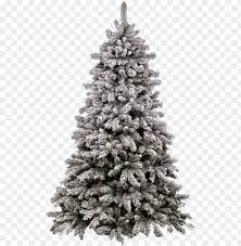 Large collections of hd transparent christmas png images for free download. Transparent Christmas Tree Png Image With Transparent Background Toppng