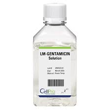 Image result for Gentamicin