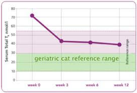 Yd Diet Animal Endocrine Clinic