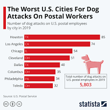 Pin On Statista Infographics