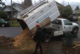 Secures funding for housing and services. Chip Drop A Free Mulch Program For Gardeners And Homeowners In Mission Dolores Mission Dolores Neighborhood Association