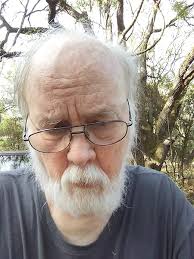 The Cabin: A time travel adventure (Narvaez County Book 1) eBook : Dunlap,  Dallas: Amazon.in: Books