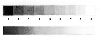 Charcoal Value Scale Shading Techniques Scale Drawing Drawing Techniques