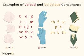 Voiced Vs Voiceless Consonants