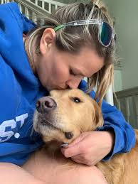 Dog walking and boarding services available