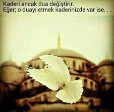Ramirez Luin Adli Kullanicinin Arabe Y Mas Idiomas Panosundaki Pin Guzel Soz Zitate Ozlu Sozler