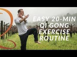 20 Min Qi Gong Exercise Routine Easy Home Workout With Lee Holden Youtube Qigong Exercises Qigong Easy At Home Workouts