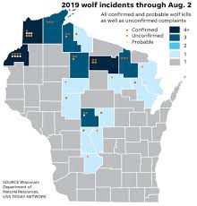 Density can be calculated by dividing the abundance estimate by the area (square miles. Federal Protection Of Wolves Questioned After Wisconsin Wolf Attacks