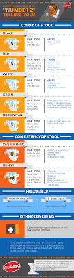 Whats Your Toddlers Poo Telling You Infographic Diaresq