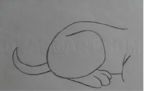 In this video, you will learn to draw a puppy from 101 dalmatians, step by step. How To Draw 101 Dalmatians Step By Step Drawing Guide By Midna 4life Dragoart Com