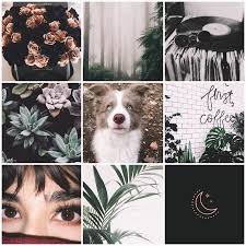 Pin On Aesthetic Moodboards